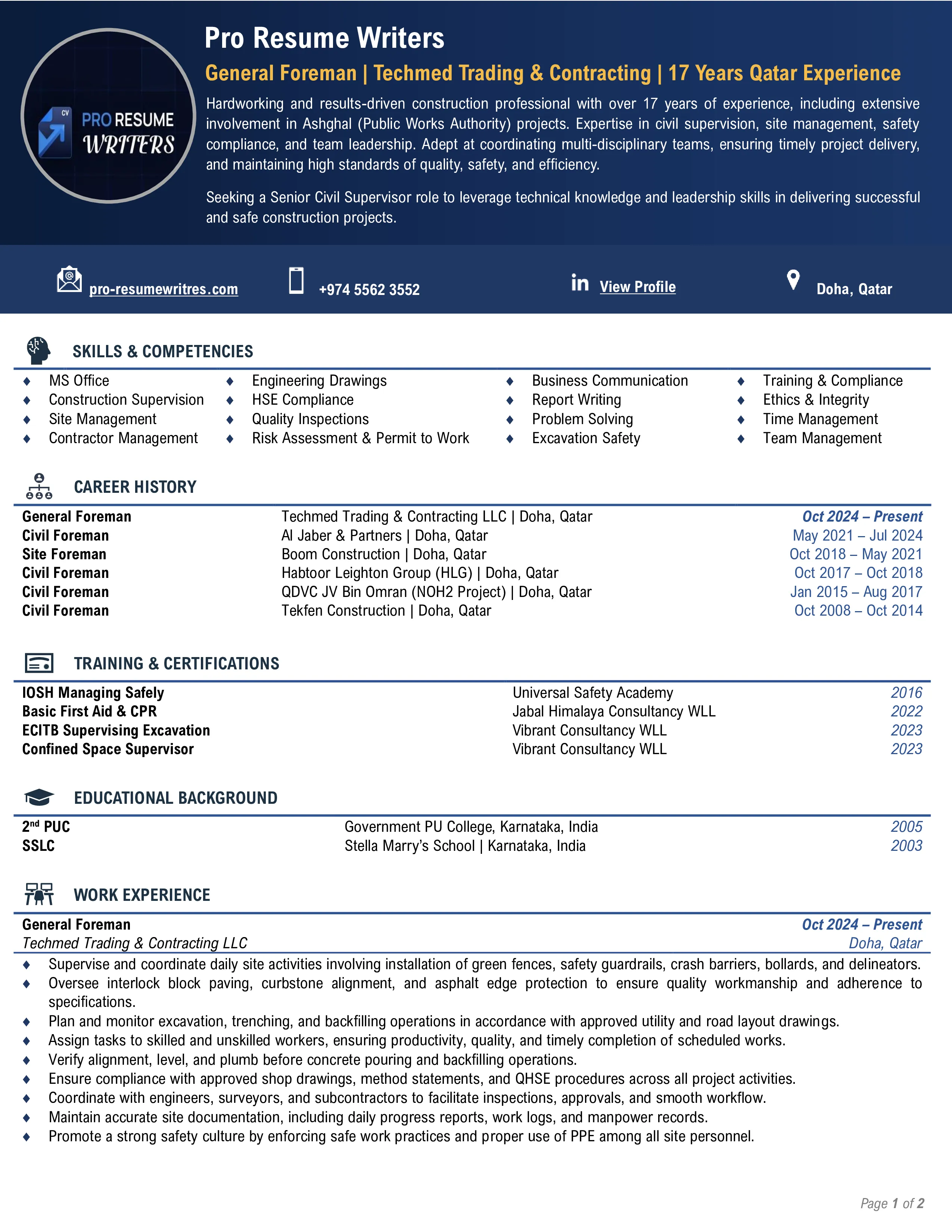 Executive Professional Resume