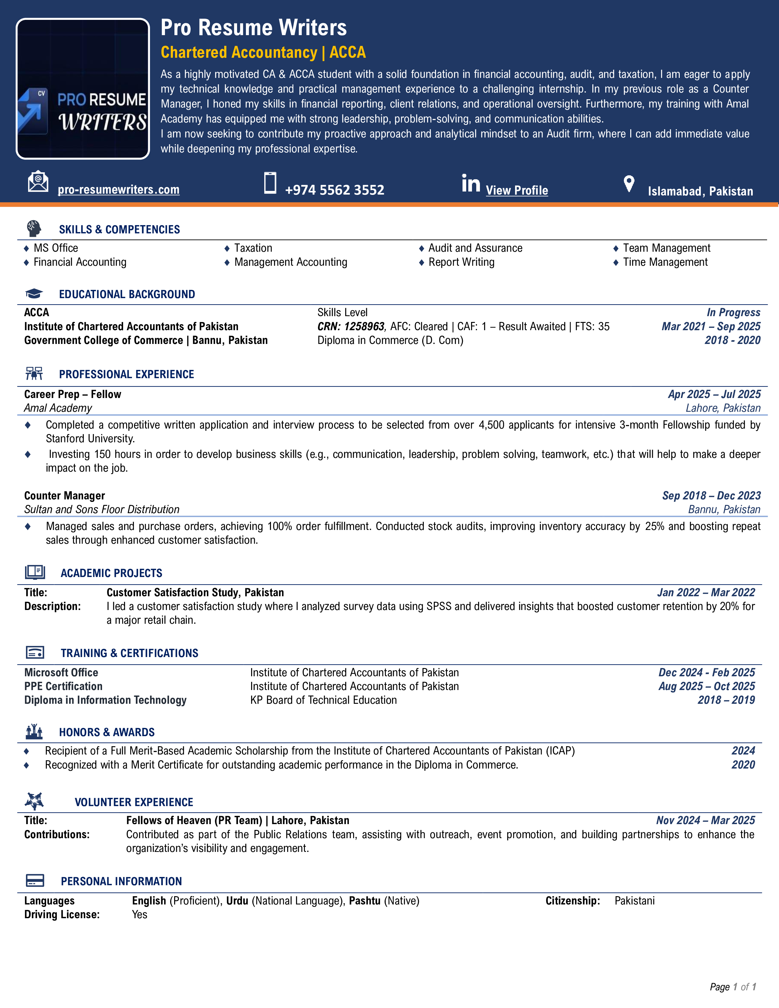 Modern Professional Resume